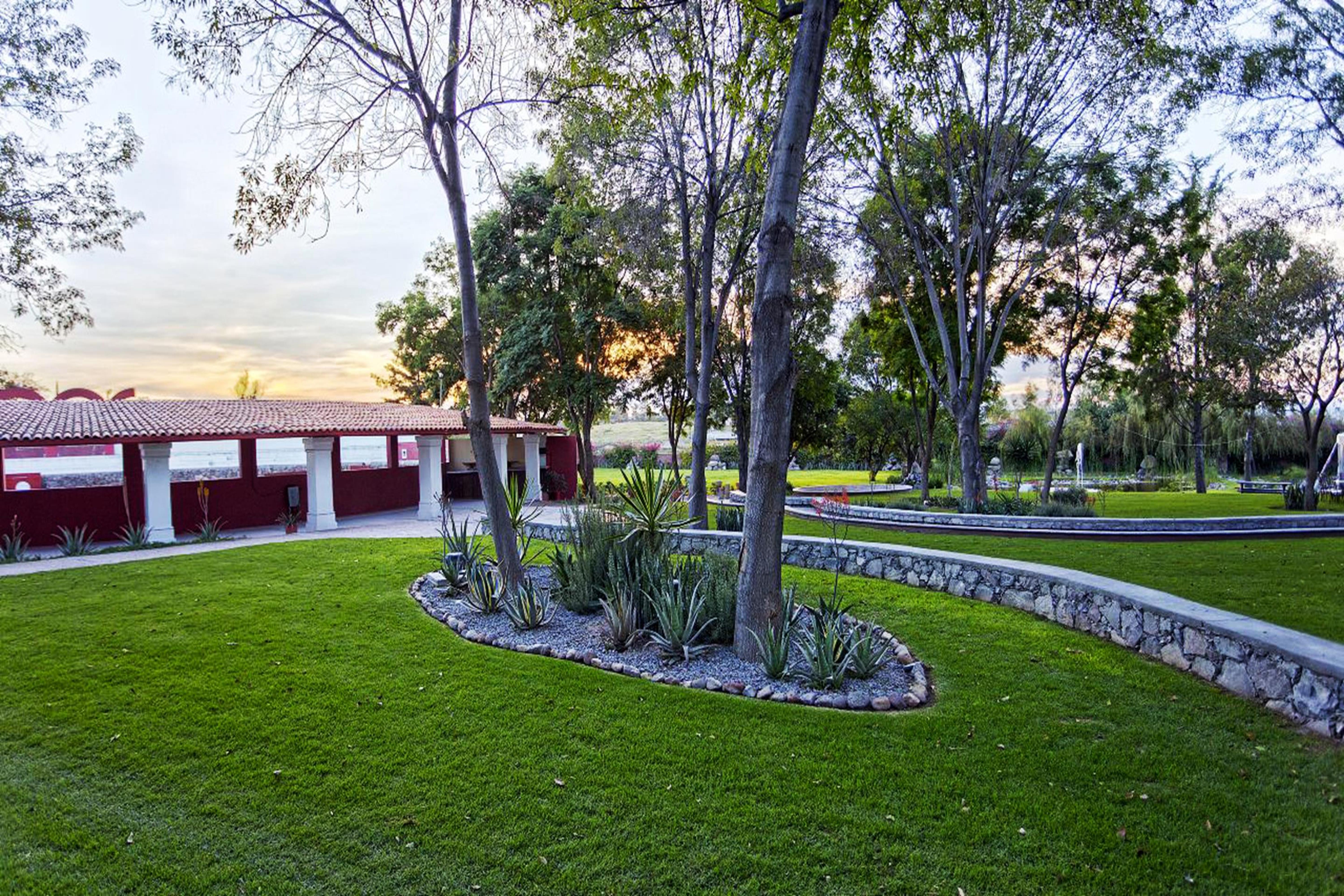 Real De Minas San Miguel De Allende Exterior foto View of the park